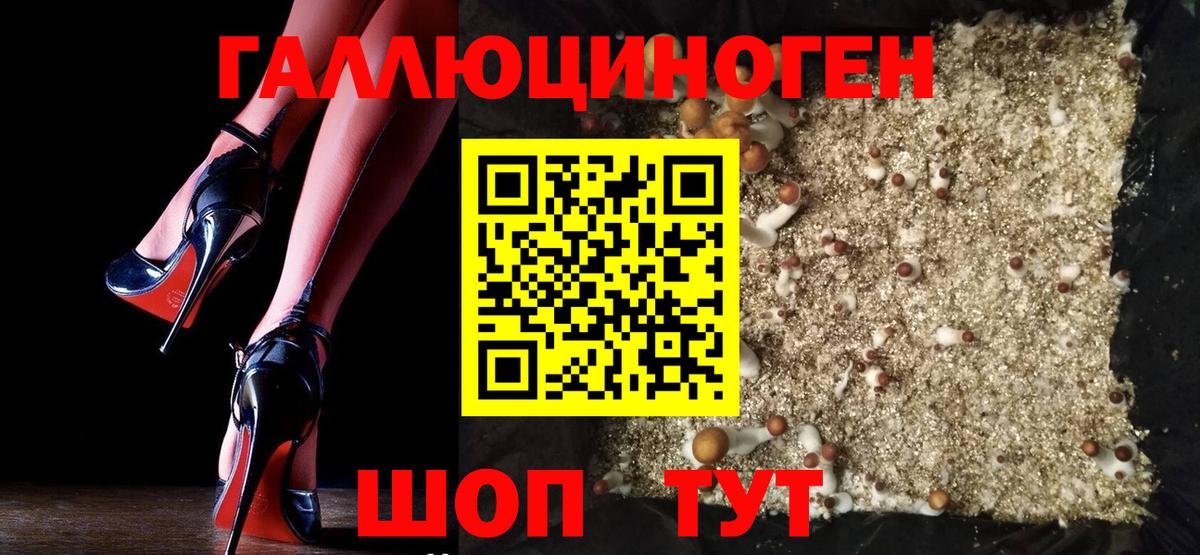 Черногорск  Галлюциногенные грибы MAGIC MUSHROOMS  наркота  Вход с VPN  Галлюциногенные грибы GOLDEN TEACHER 